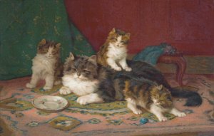 Vykort med katt (färglitografi) av European School