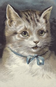 Katt med blått halsband (kromolit) av European School