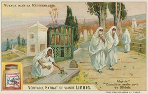 Kyrkogård nära Blida i Algeriet av European School