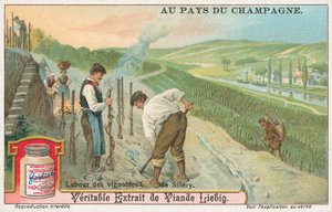 Champagne, Liebig-kort, början av 1900-talet (chromo) av European School