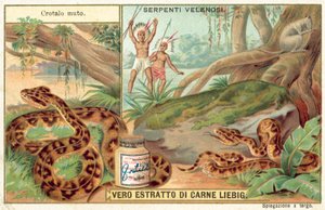 Copperhead (chromolitho) av European School