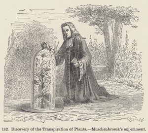 Discovery of the Transpiration of Plants, Muschenbroecks experiment (gravyr) av European School