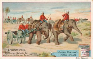 Engelska soldater dragna av elefanter i Indien, Liebigkort, tidigt 1900-tal (chromo) av European School