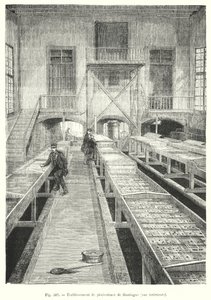 Huningue fiskodling, interiör vy. (gravyr) av European School