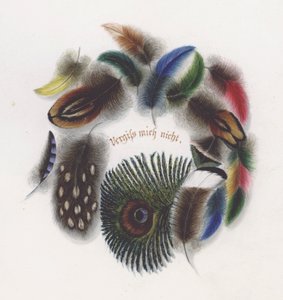 Fjädrar (färg litho) av European School