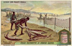 Fiske efter stör (chromolitho) av European School