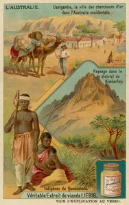Goldrush-staden Coolgardie, landsbygden runt Kimberley och aboriginer från Queensland av European School