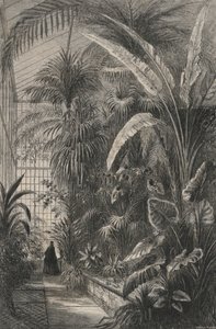 Great Greenhouse of the Museum of Paris (gravyr) av European School