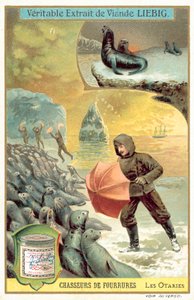 Jaga sjölejon (chromolitho) av European School