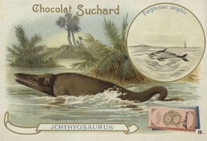 Ichthyosaur och vanlig delfin av European School