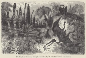 Imaginärt landskap under den sekundära epoken, med Pterodactyls, Lias Period (gravyr) av European School