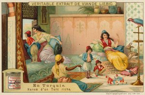 Inne i harem av en rik turk av European School