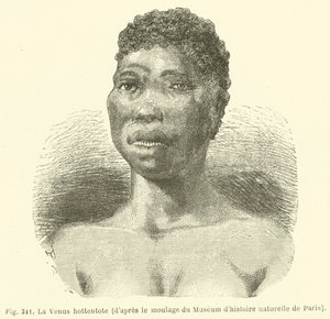 Hottentot Venus, från rollbesättningen av Naturhistoriska museet i Paris (gravyr) av European School
