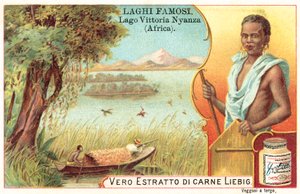 Victoriasjön, Afrika (chromolitho) av European School