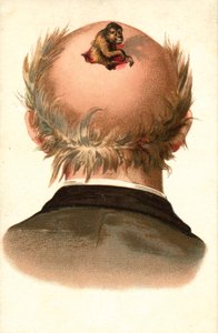 Manligt huvud - med apa som klättrar ut (chromolitho) av European School