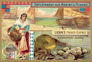 Musslor och ostron (chromolitho) av European School