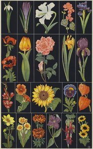 Sida ur barnbilderboken Flowers (färglitografi) av European School