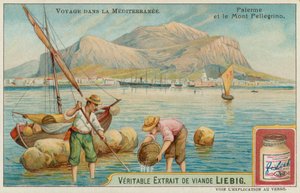 Palermo och berget Pellegrino av European School