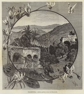 Palestina, galileisk by nära Nasaret av European School