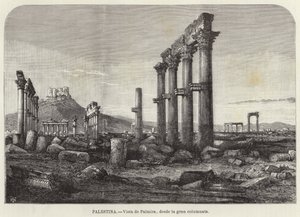 Palestina, Utsikt över Palmyra, från den stora pelargången av European School