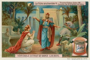 Pamina vädjar till Sarastro att låta henne gå av European School