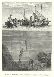 Fiske efter pärlostron vid kusten av ön Ceylon (gravyr) av European School