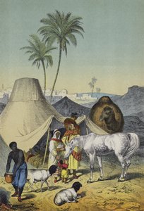 Människor, djur och växter i Nordafrika och Arabien (färg litho) av European School