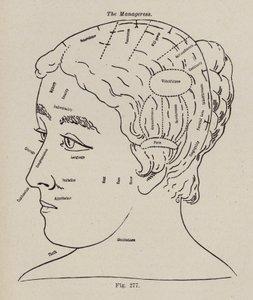Frenologi, A Manageress (medlemmar) av European School