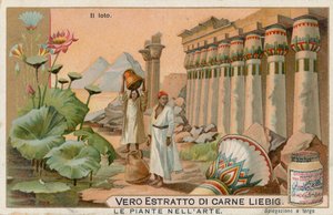 Växter i konsten, Liebig-kort, tidigt 1900-tal (chromo) av European School