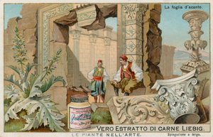 Växter i konsten, Liebig-kort, tidigt 1900-tal (chromo) av European School
