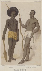 Svart ras, Papuan, Svart från Guinea (chromolitho) av European School
