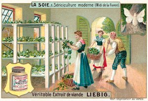 Silkestillverkning i södra Frankrike (chromolitho)