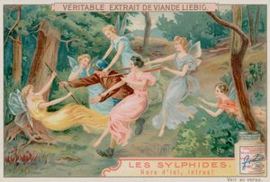 Sylphs och en inkräktare av European School