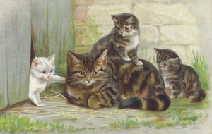 Tabbykatt med tre kattungar (chromolitho) av European School