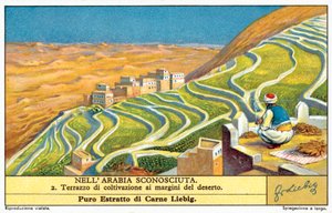Terrassodling på kanten av öknen (chromolitho) av European School