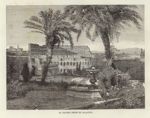 Colosseum från Palatinen av European School