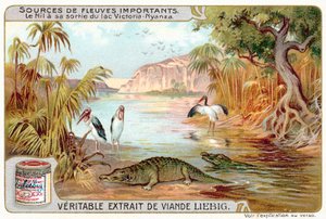 Nilen när den lämnar Victoriasjön (chromolitho) av European School