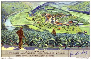 Tobaksodling i Semois-dalen, Belgien (chromolitho) av European School