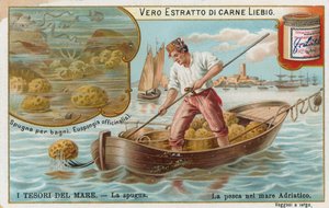 Havets skatter, Liebig-kort, början av 1900-talet (chromo) av European School