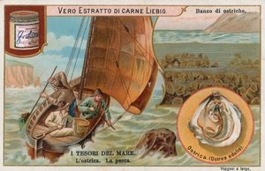 Havets skatter, Liebig-kort, början av 1900-talet (chromo) av European School