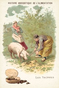 Tryffel (chromolitho) av European School