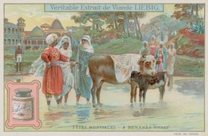 Varanasi bröllopstraditioner av European School