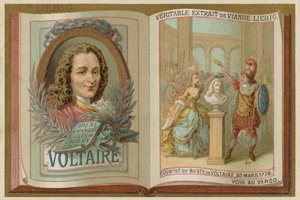 Voltaire av European School