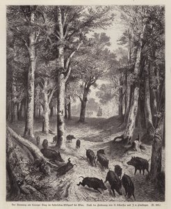 Vildsvin på Lorenzer Berg i Imperial Park i Wien, Österrike (gravyr) av European School