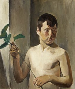 Pojke med löv av Evan John Walters