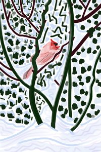 Kardinal i snö (digital konst) av Evan Sklar