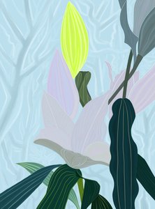 Lily (digital konst) av Evan Sklar