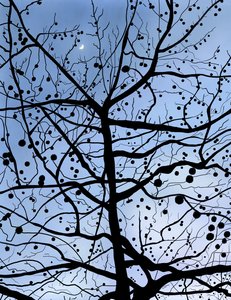 London PlaneTree and Moon, Brooklyn (digital konst) av Evan Sklar