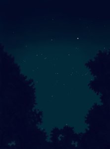 Stjärnor på himlen på natten och konturer av träd (digital konst) av Evan Sklar