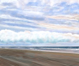 Swan Beach av Evan Sklar